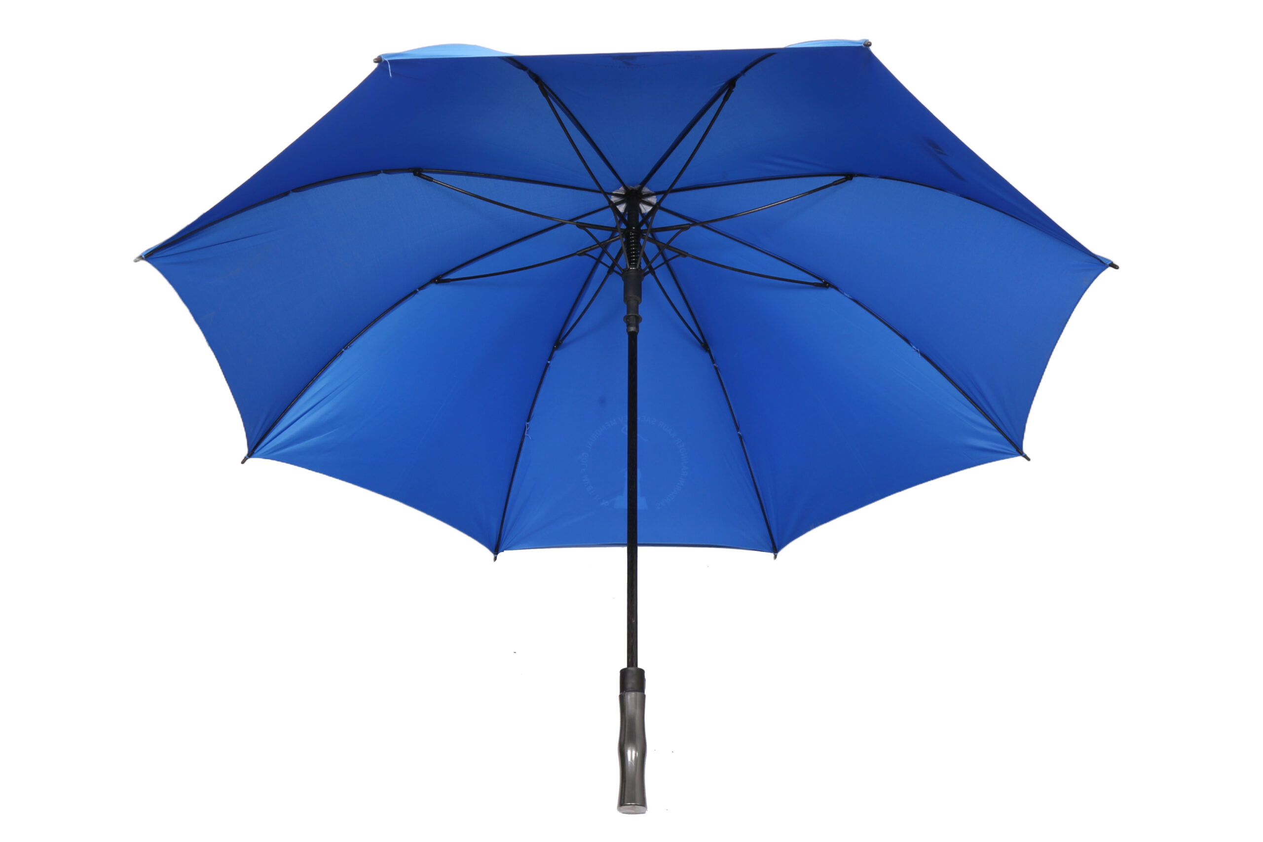 umbrella 1